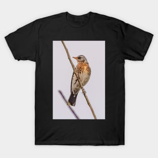 Fieldfare T-Shirt